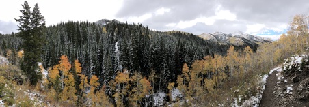 Enlarge photo 299