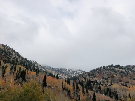 Enlarge photo 171