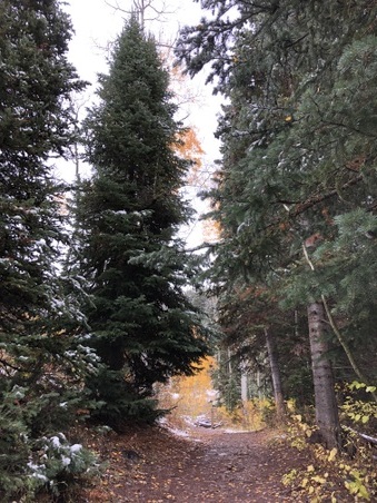 Enlarge photo 281