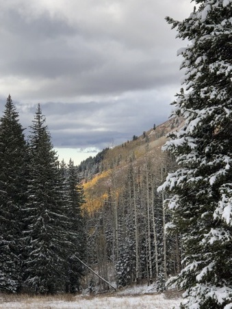 Enlarge photo 322