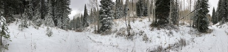 Enlarge photo 340