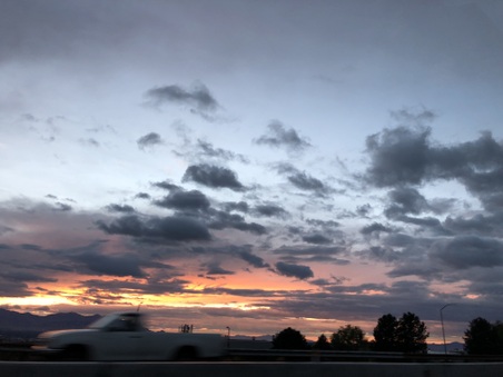 Enlarge photo 274