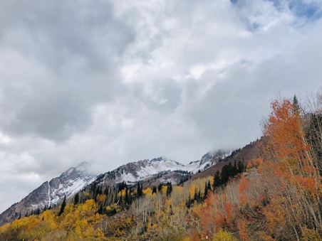 Enlarge photo 173