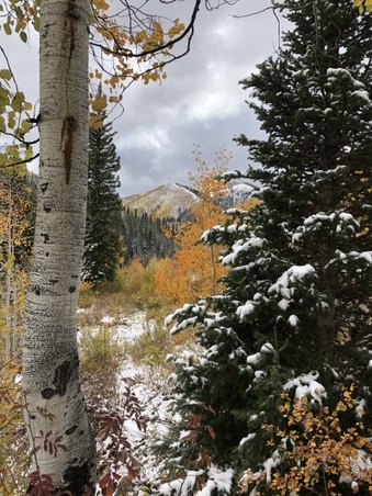 Enlarge photo 290
