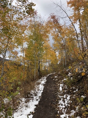 Enlarge photo 285