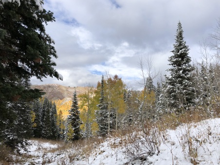 Enlarge photo 327