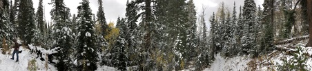 Enlarge photo 307