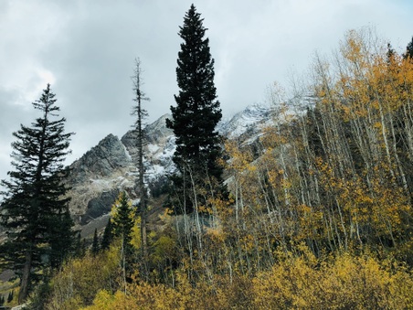 Enlarge photo 178