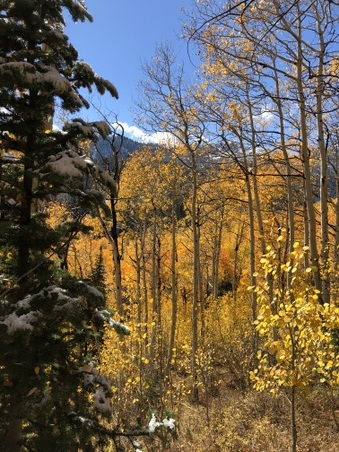 Enlarge photo 9