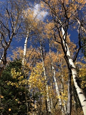Enlarge photo 18