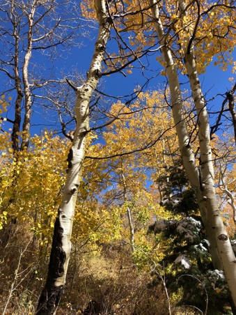 Enlarge photo 21
