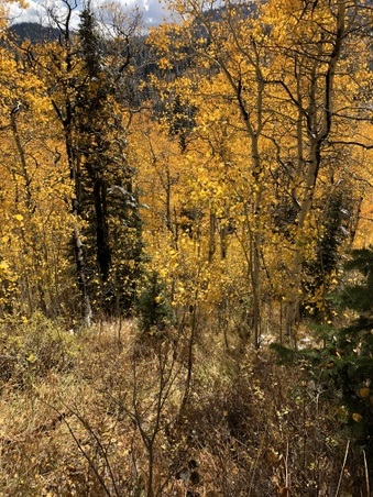 Enlarge photo 24