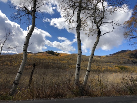 Enlarge photo 32