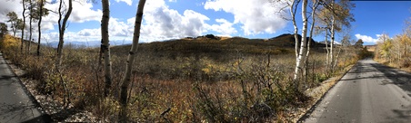 Enlarge photo 33
