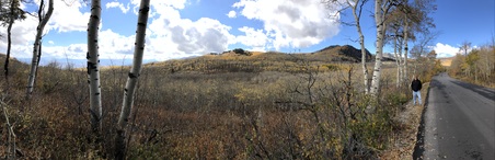 Enlarge photo 36