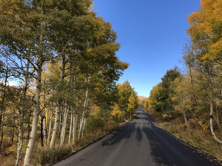Enlarge photo 38