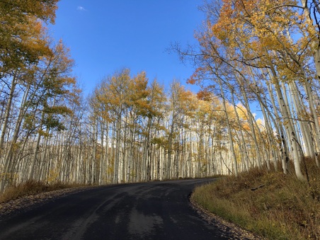 Enlarge photo 40