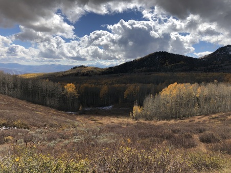 Enlarge photo 45