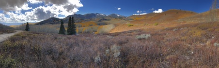 Enlarge photo 48
