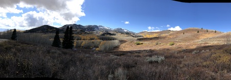 Enlarge photo 49