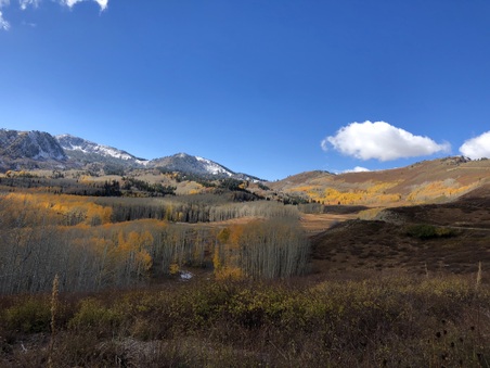 Enlarge photo 54