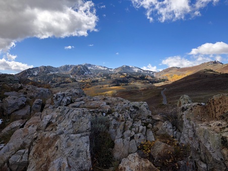 Enlarge photo 63