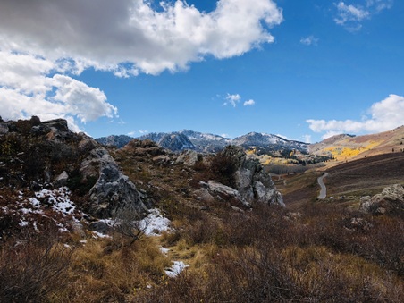 Enlarge photo 81