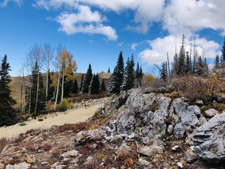 Enlarge photo 82