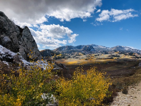 Enlarge photo 84