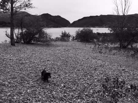 Enlarge photo 59