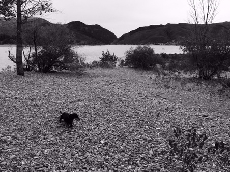 Enlarge photo 61