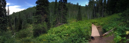 Enlarge photo 33