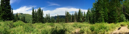 Enlarge photo 34