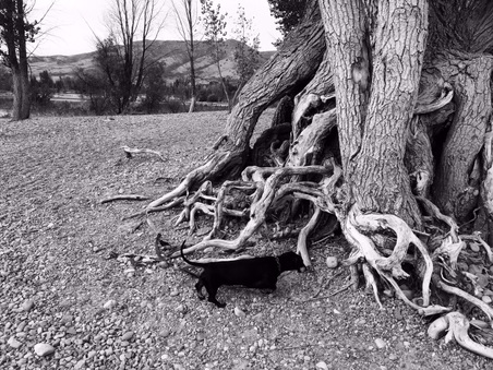 Enlarge photo 62