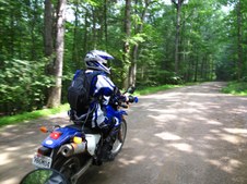 Enlarge photo 42