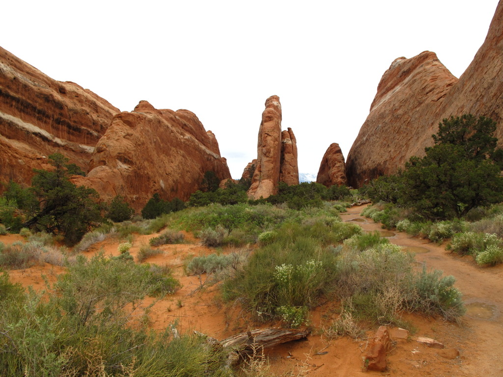 6 DAMN old guys do Moab | Page 4 | Adventure Rider