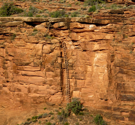 Enlarge photo 40
