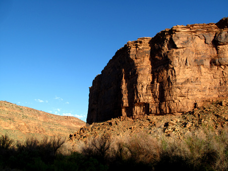 Enlarge photo 41