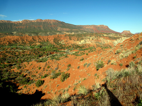 Enlarge photo 52