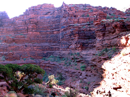 Enlarge photo 55