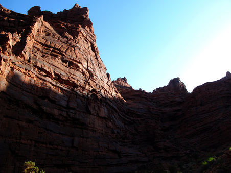 Enlarge photo 58