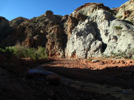 Enlarge photo 57