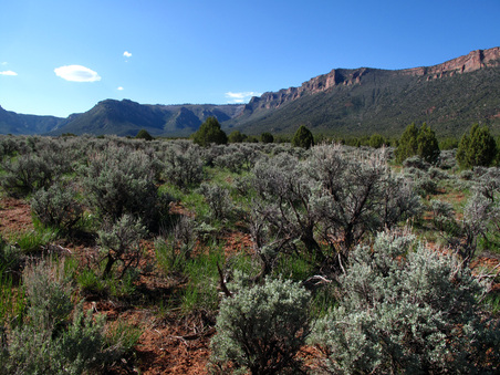 Enlarge photo 72