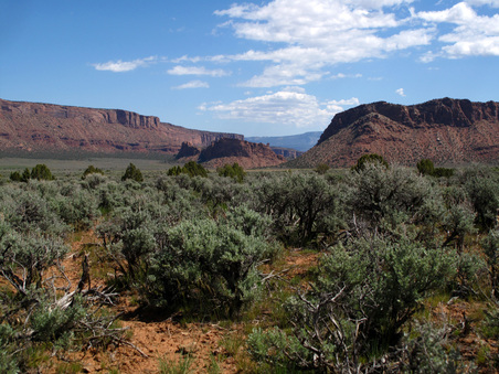 Enlarge photo 76