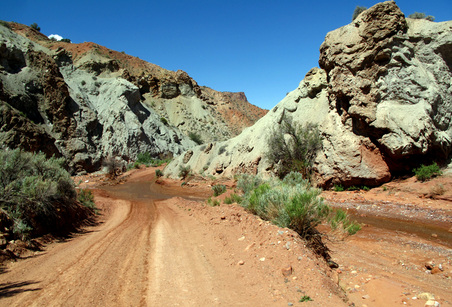 Enlarge photo 81