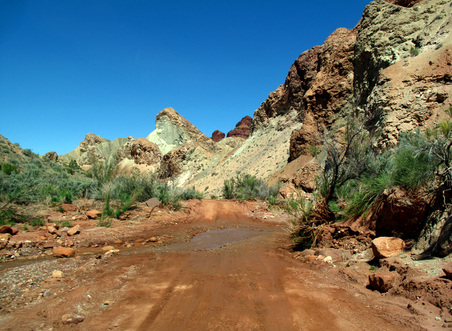Enlarge photo 82