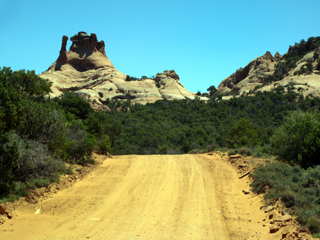 Enlarge photo 87