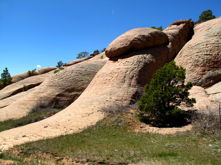 Enlarge photo 91
