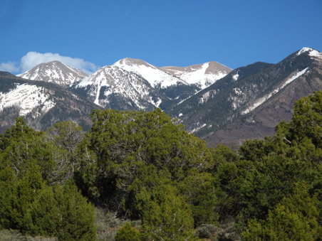 Enlarge photo 105
