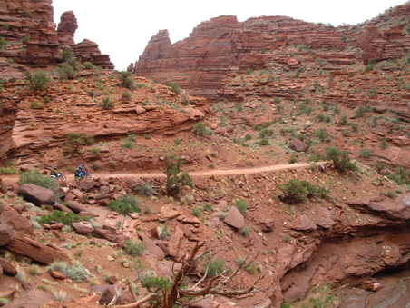 Enlarge photo 228